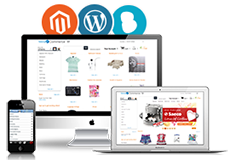 eCommerce Solutions Provider